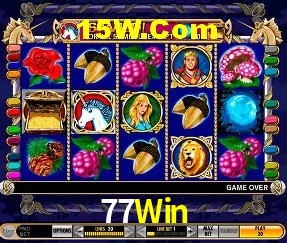 Sistemas de Segurança 77Win